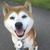 Profile picture small