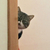 Profile picture small