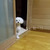 なぎさん