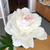 Profile picture small