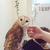 Profile picture small