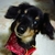 Profile picture small