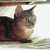 Profile picture small