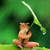 Profile picture small