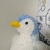 Profile picture small