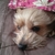 Profile picture small