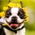 Profile picture small
