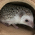 Profile picture small