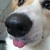 Profile picture small