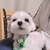 Profile picture small