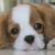 Profile picture small