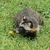 Profile picture small