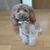 Profile picture small