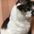 Profile picture small