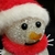Profile picture small