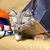Profile picture small