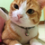 Profile picture small
