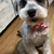Profile picture small