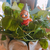 Profile picture small