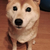 Profile picture small