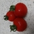 Profile picture small