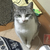 Profile picture small