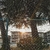 Profile picture small
