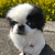 Profile picture small