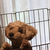 Profile picture small