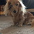 Profile picture small