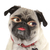 Profile picture small