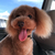 Profile picture small