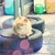 Profile picture small