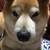 Profile picture small