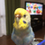 Profile picture small