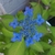 Profile picture small
