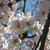 Profile picture small