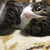 Profile picture small