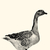 Profile picture small
