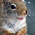 Profile picture small