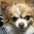 Profile picture small