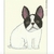 Profile picture small