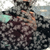 Profile picture small