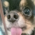 ゆきんこ