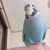 Profile picture small