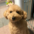Profile picture small