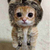 Profile picture small