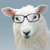 Profile picture small