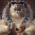 Profile picture small