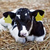 Profile picture small